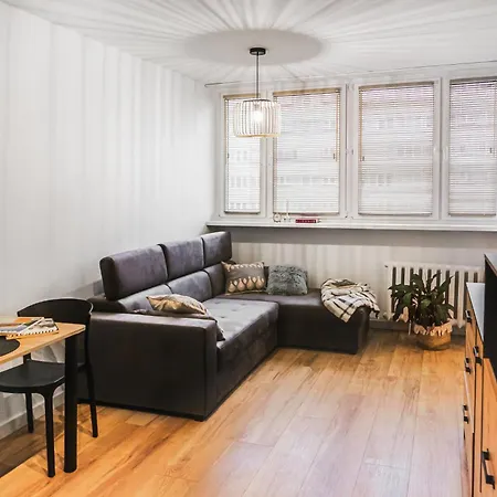 Klimatyczne Mieszkanie W Centrum