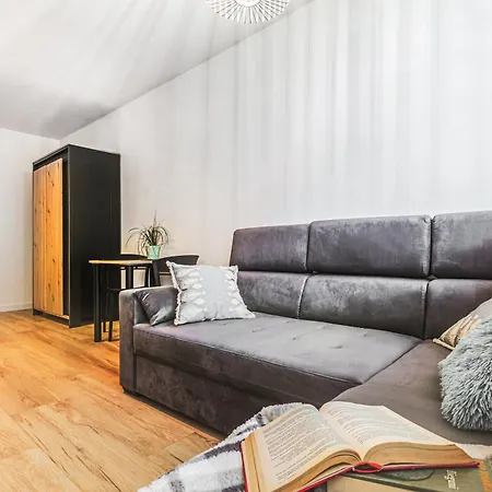 Klimatyczne Mieszkanie W Centrum Apartment *