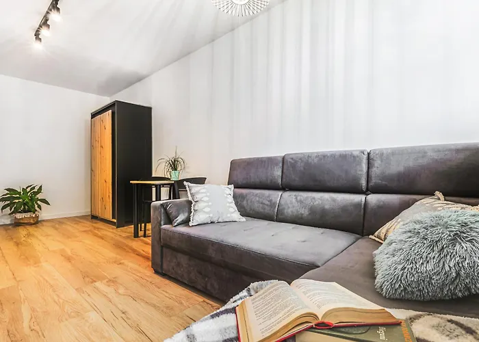 Klimatyczne Mieszkanie W Centrum Apartment *